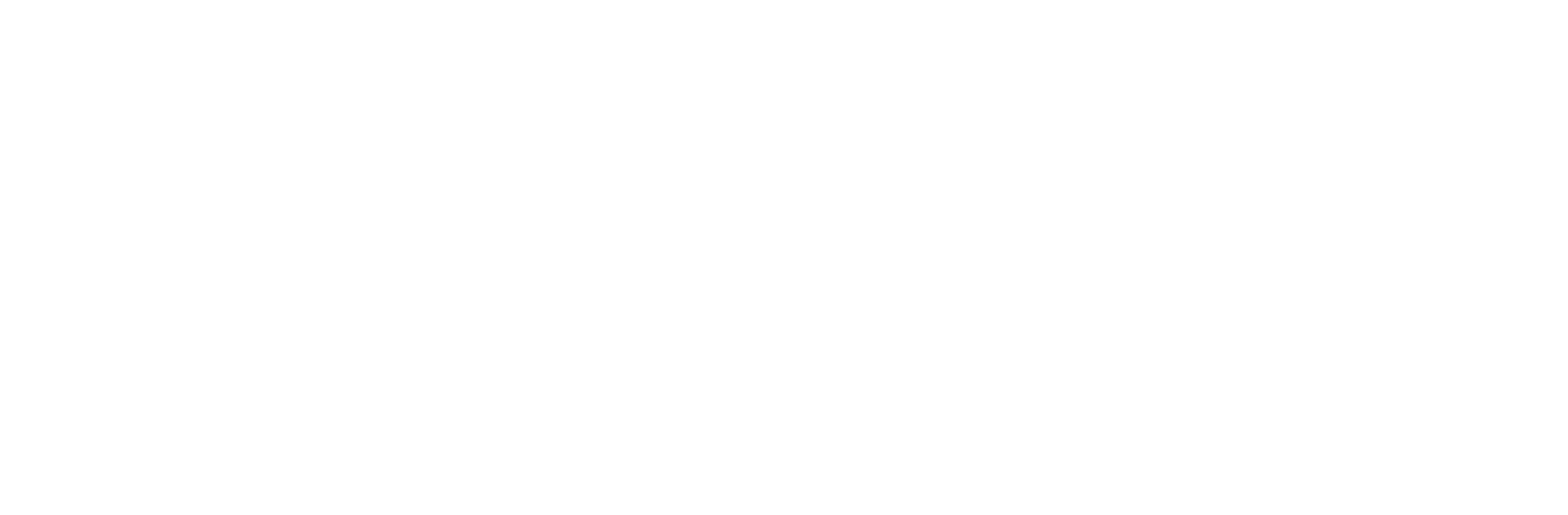 WAMS Logo